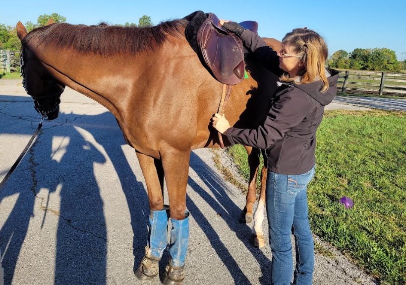 Jumper half pad with sheepskin
