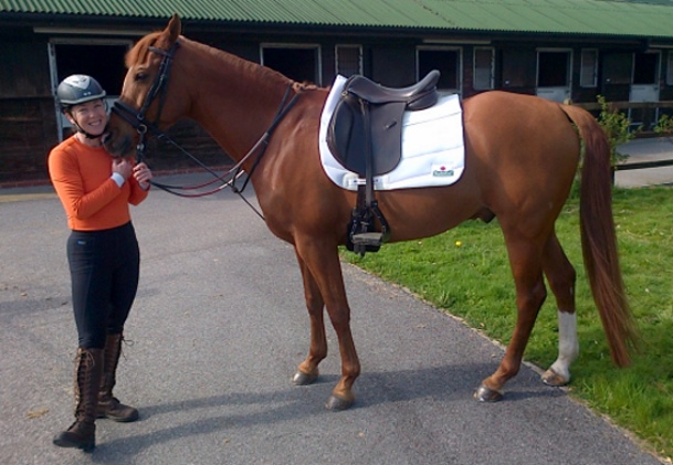 Perfect fit Dressage saddle pad with pockets for shims